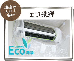 エコ洗浄