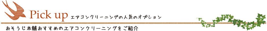 おそうじ本舗おすすめのエアコンクリーニングをご紹介