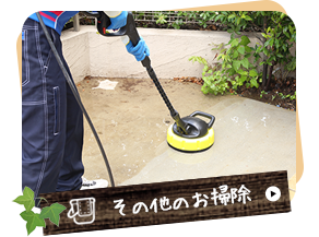 その他のおそうじ